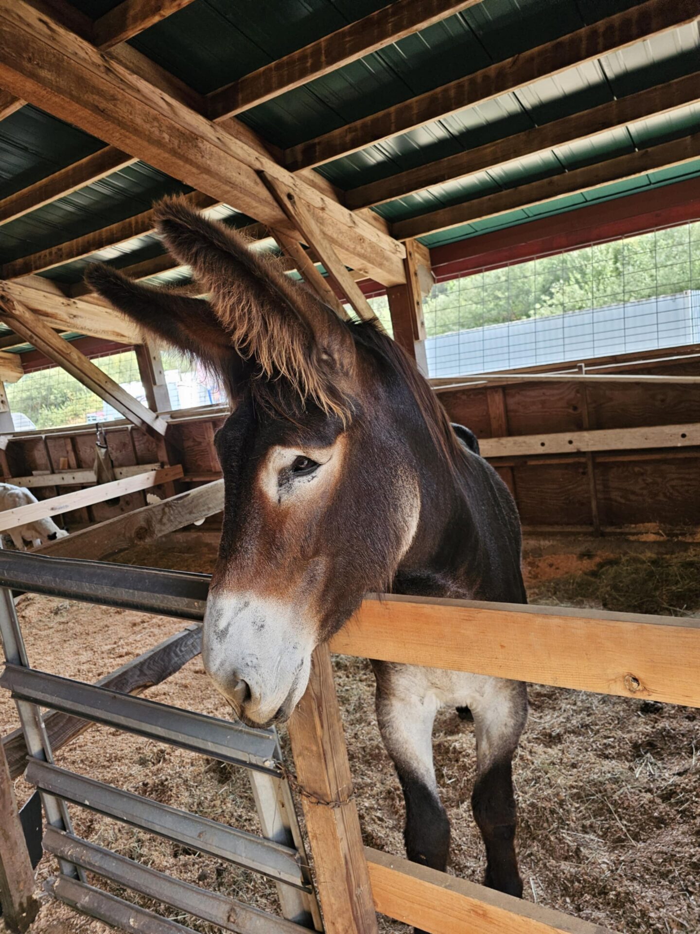 5ac79b46-b58b-411c-bc94-125f0a9a1b60